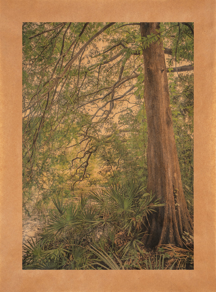 Rainbow Springs, Ocala, Florida