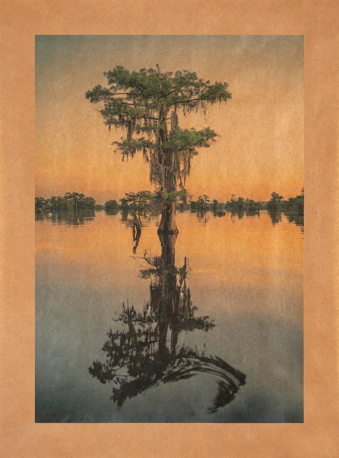 Song for the Bootlegger, Dead Lakes, Florida