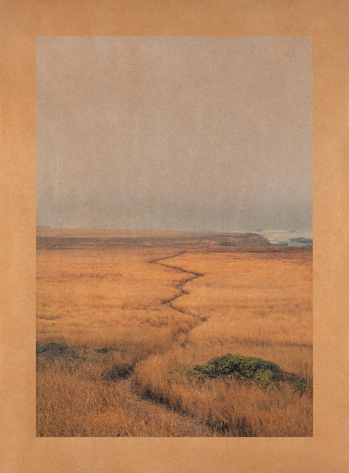 Ancestor's Path, Mendocino, California