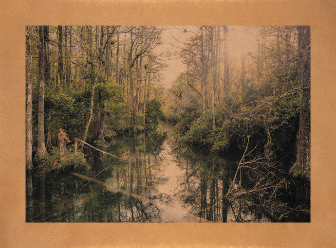 A Land Remembered, Florida