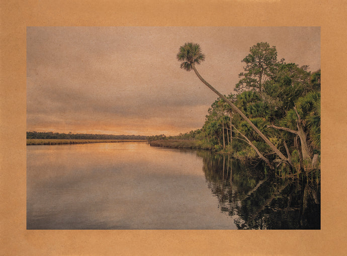 Bayou Song, Florida