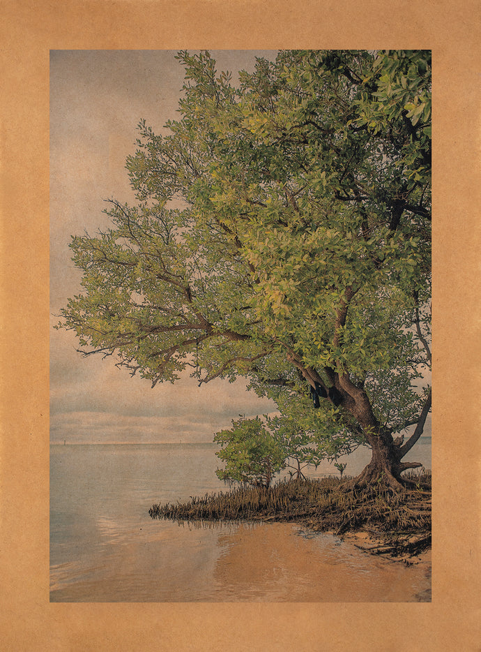 Song for Kronos, Florida Keys