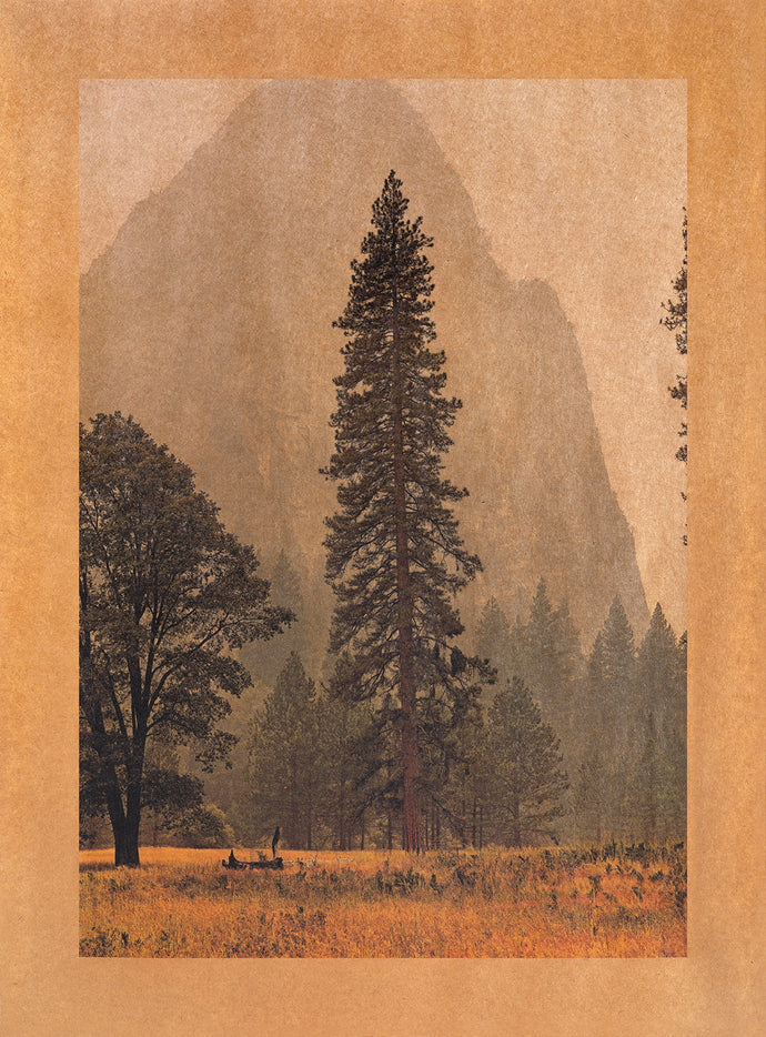 Lower Cathedral Song, Yosemite, California