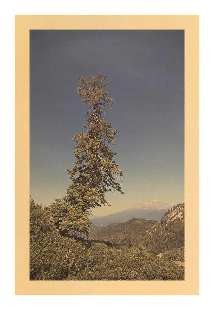 Heart Lake, Mt Shasta, California