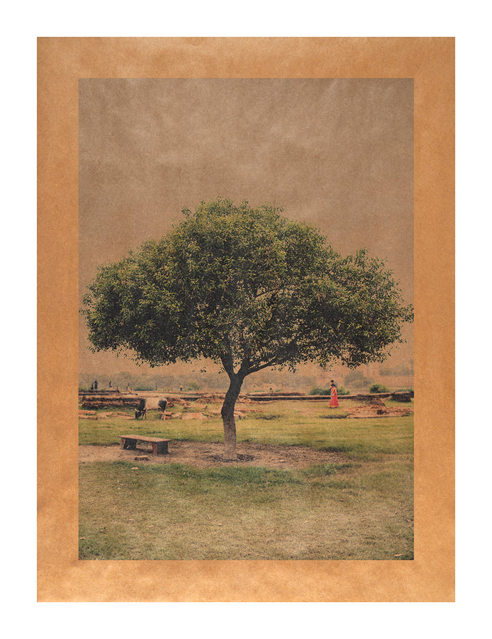 Black Taj Stroll, Agra, India