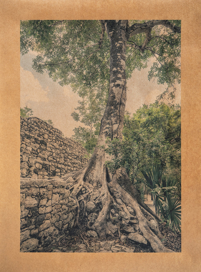 Ek Balam, Yucatan Peninsula, Mexico