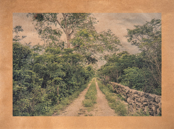 Fortune's Path, Yucatan Peninsula, Mexico