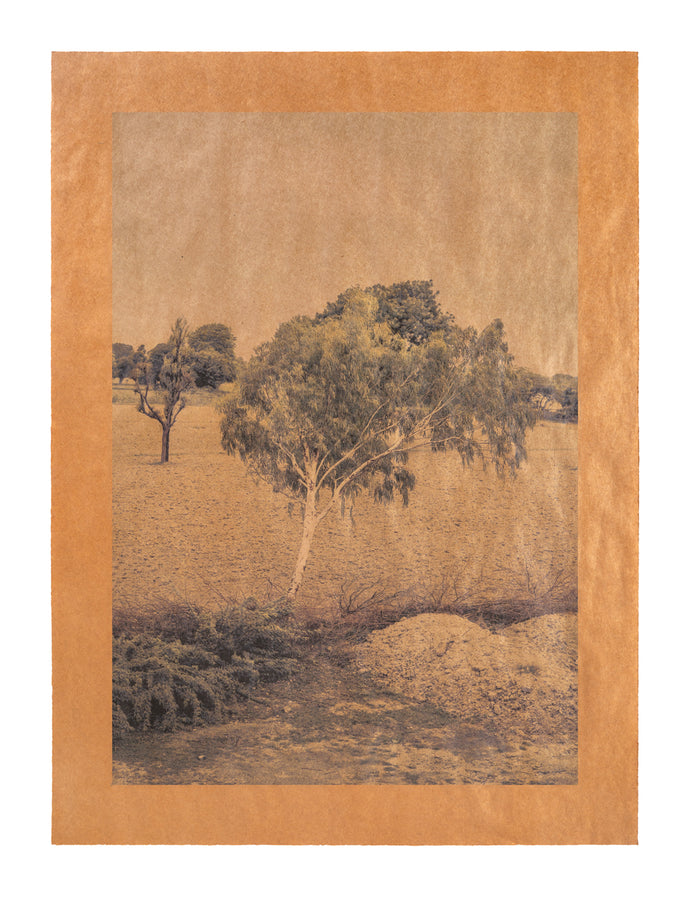 Amma's Song, Rajasthan, India