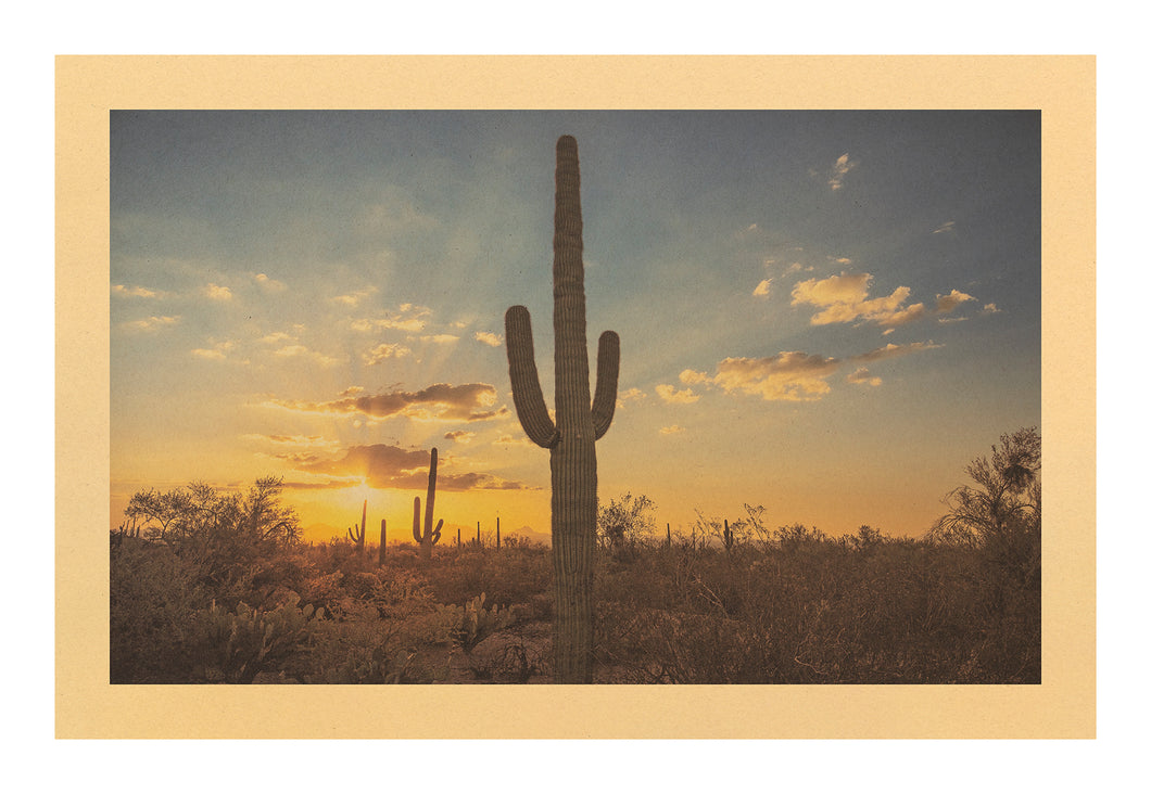 Ancestor's Song, Saguaro National Park