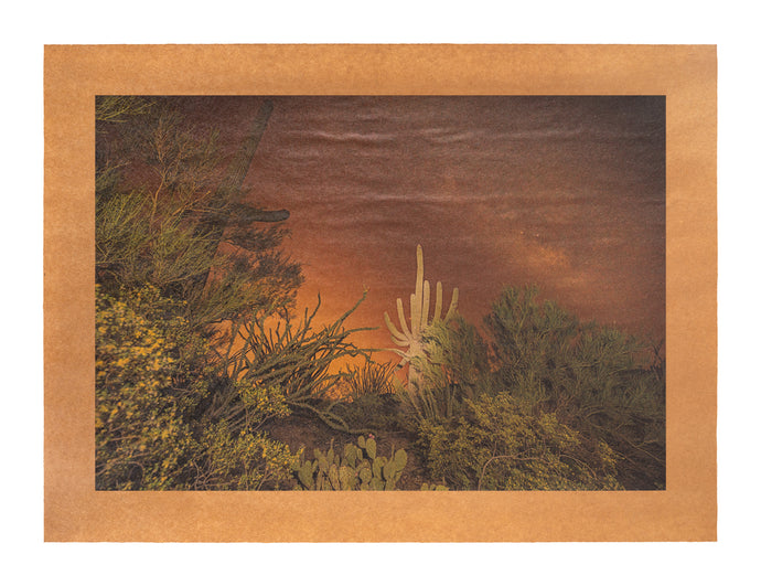 Calliope Hummingbird Song, Saguaro National Park, Arizona