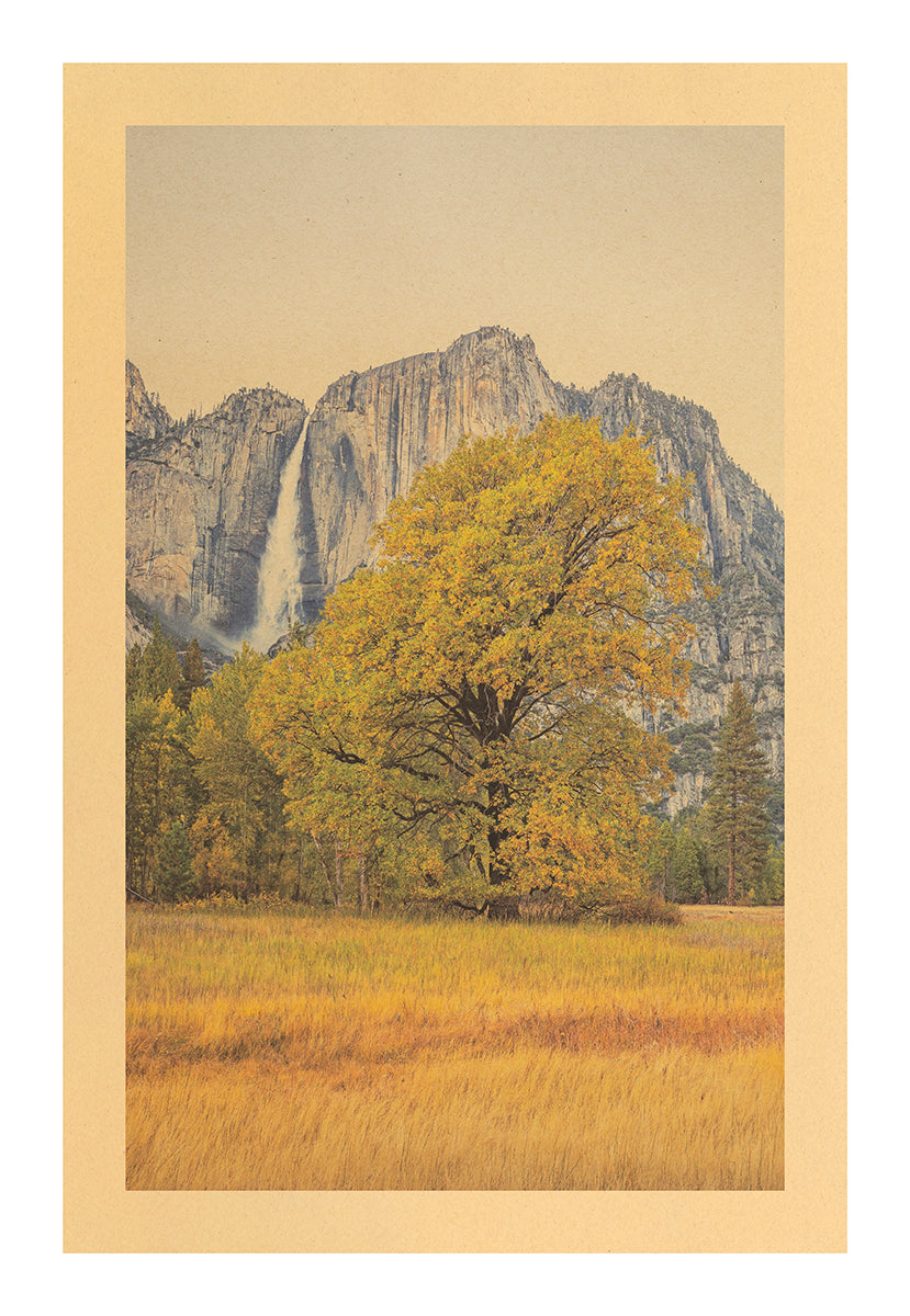 Cast in Gold, Yosemite National Park