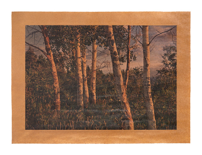 Pueblo Song, Grand Canyon National Park, Arizona