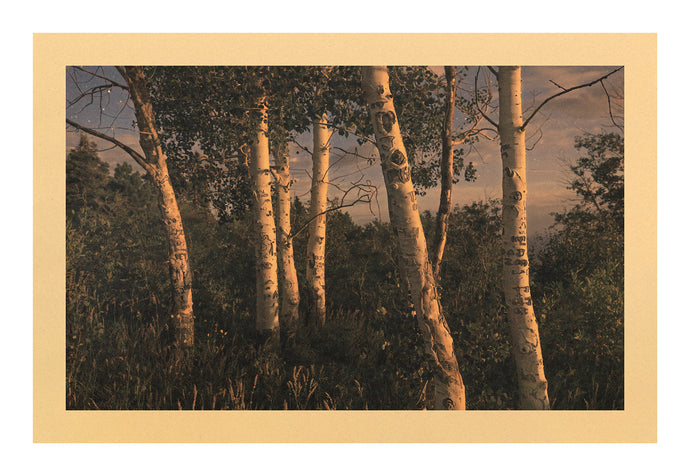 Native Song, Grand Canyon National Park