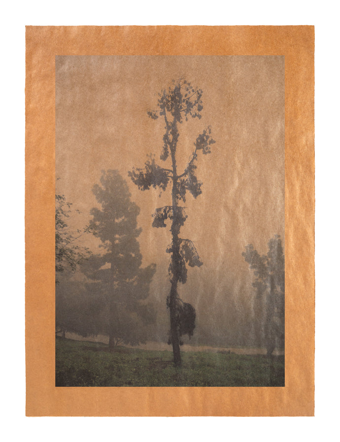 Revelation III, Los Angeles, California