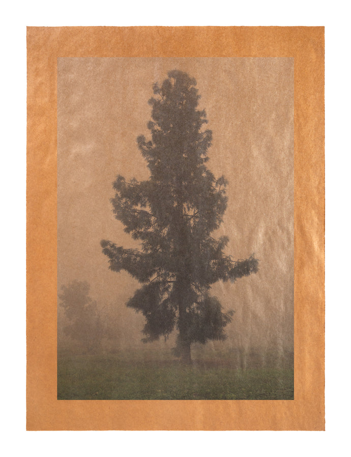 Revelation II, Los Angeles, California