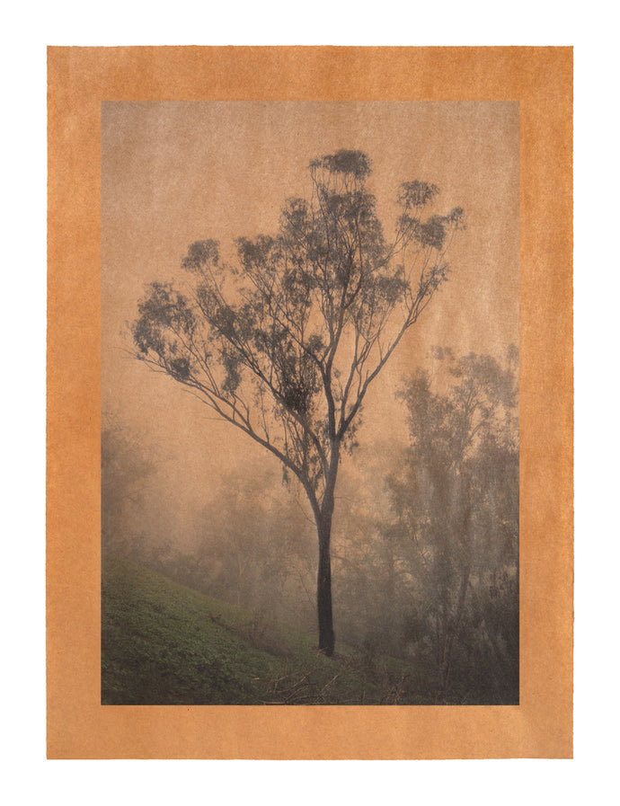 Revelation I, Los Angeles, California