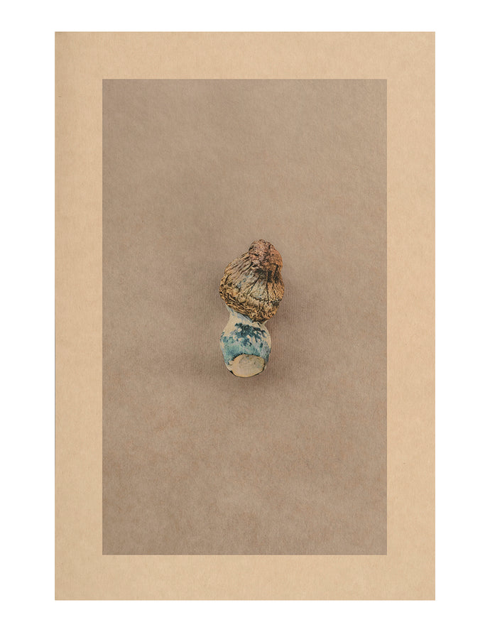 Mycelium Song, Aquarius Dwarf