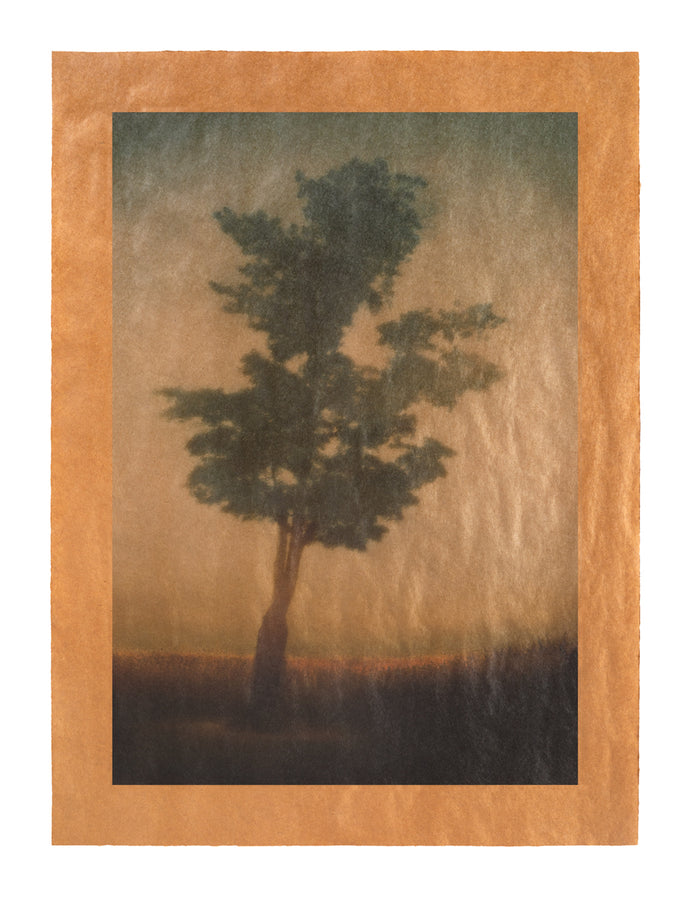 Song for Billie Holiday, Springfield, Illinois