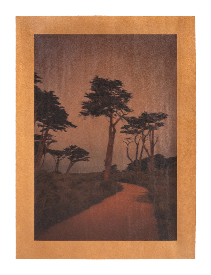 Song for Celine, San Francisco, California