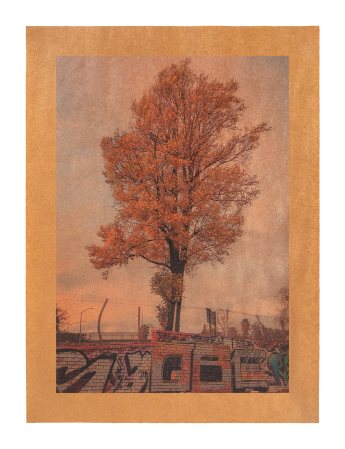 Song for Echo Park, Los Angeles, California