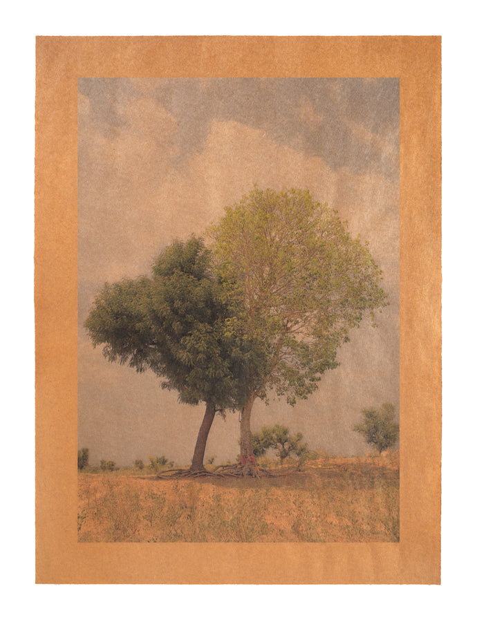 Song for Harmony, Rajasthan, India