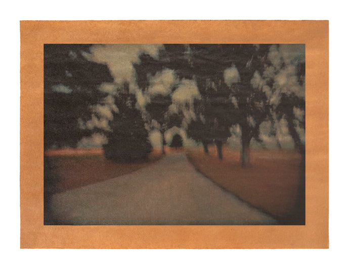 Song for the Westview, Vienna, Illinois