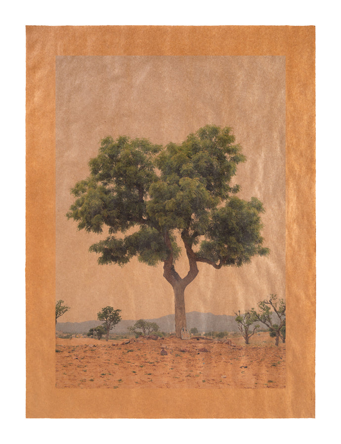 Song for Neil Young, Pushkar, India