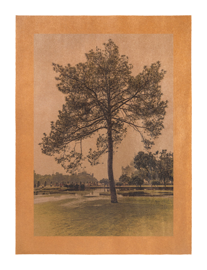 Song for Stars, Agra, India