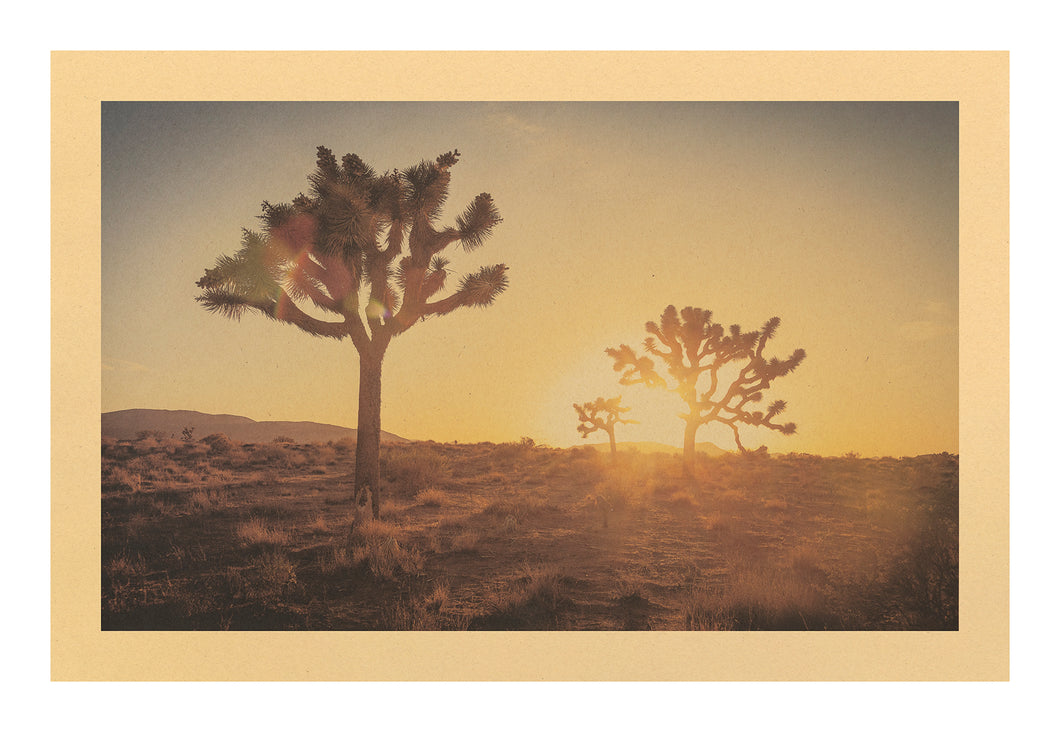 Song for Dust, Joshua Tree National Park, CA