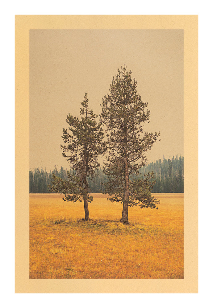 Song for Interdependence, Lassen Volcanic National Park