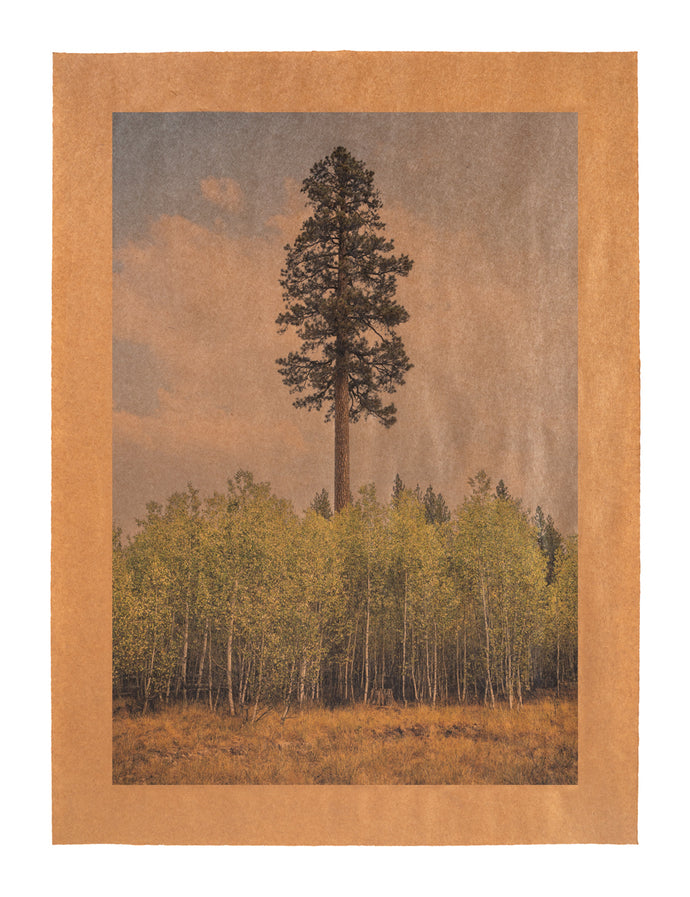 Sovereign Song, Lassen, California