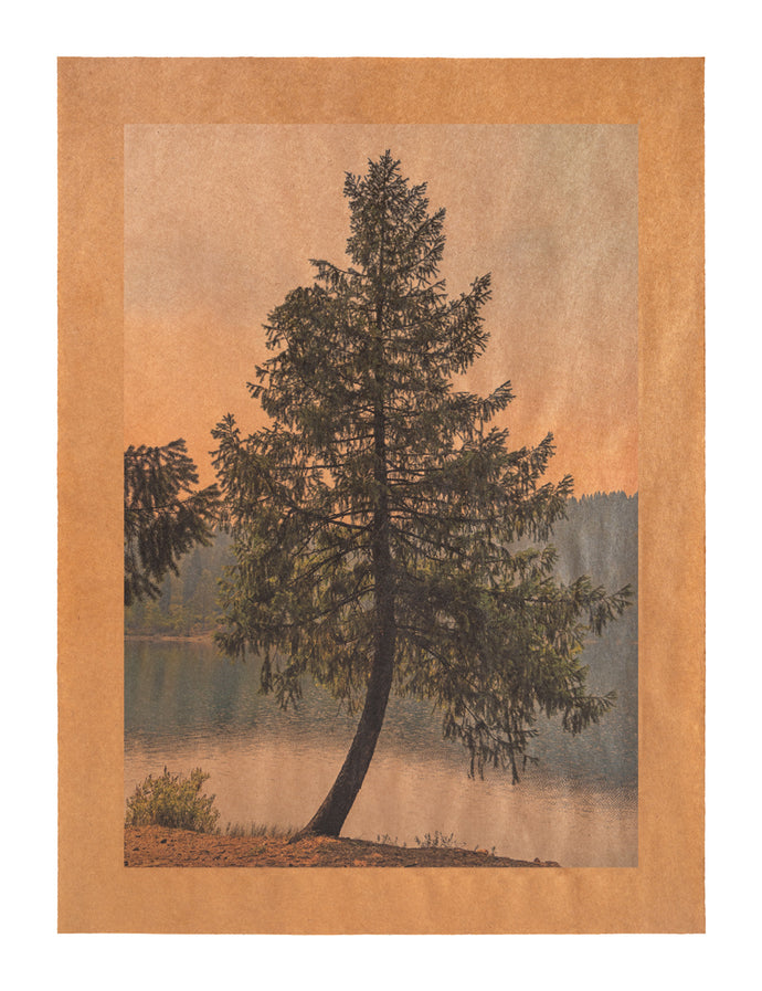 Summer Song, Shasta, California