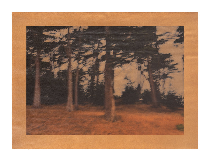 Toby's Song, San Francisco, California