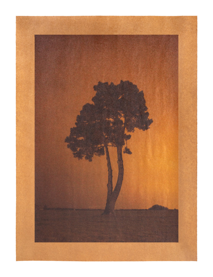 It's Witchcraft, San Francisco, California